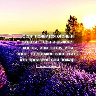Picture 05 - Исход 22:6 RUSV - Если появится огонь и - Bible Verse Picture