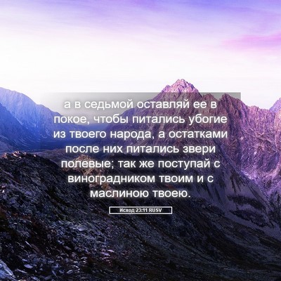 Picture 05 - Исход 23:11 RUSV - а в седьмой оставляй ее в - Bible Verse Picture