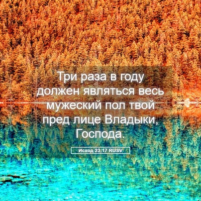 Picture 05 - Исход 23:17 RUSV - Три раза в году должен - Bible Verse Picture