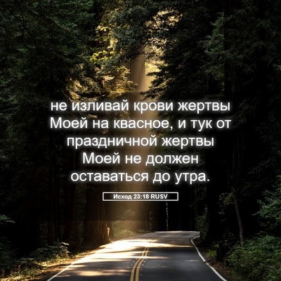 Picture 05 - Исход 23:18 RUSV - не изливай крови жертвы - Bible Verse Picture