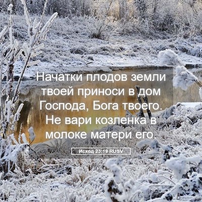 Picture 05 - Исход 23:19 RUSV - Начатки плодов земли твоей - Bible Verse Picture