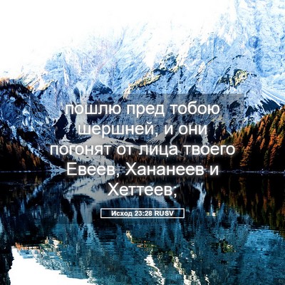 Picture 05 - Исход 23:28 RUSV - пошлю пред тобою шершней, и - Bible Verse Picture
