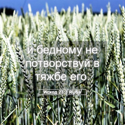 Picture 05 - Исход 23:3 RUSV - и бедному не потворствуй в - Bible Verse Picture