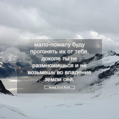 Picture 05 - Исход 23:30 RUSV - мало-помалу буду прогонять - Bible Verse Picture