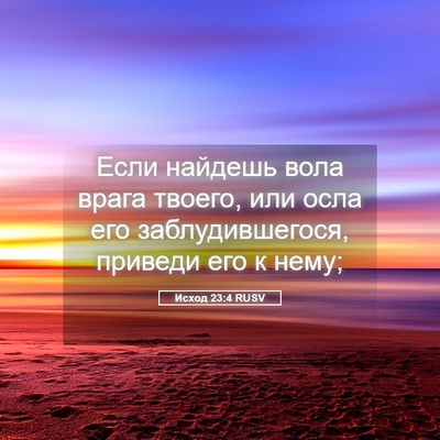 Picture 05 - Исход 23:4 RUSV - Если найдешь вола врага - Bible Verse Picture