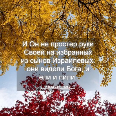 Picture 05 - Исход 24:11 RUSV - И Он не простер руки Своей - Bible Verse Picture
