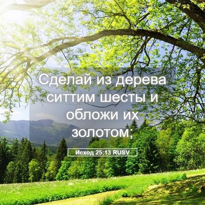 Picture 05 - Исход 25:13 RUSV - Сделай из дерева ситтим - Bible Verse Picture