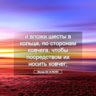 Picture 05 - Исход 25:14 RUSV - и вложи шесты в кольца, по - Bible Verse Picture