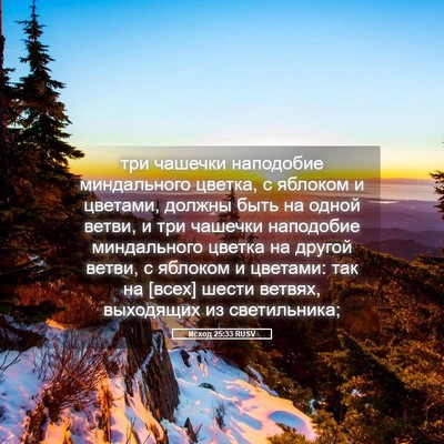 Picture 05 - Исход 25:33 RUSV - три чашечки наподобие - Bible Verse Picture