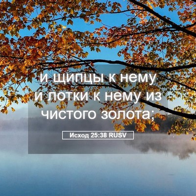 Picture 05 - Исход 25:38 RUSV - и щипцы к нему и лотки к - Bible Verse Picture