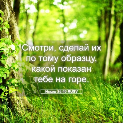 Picture 05 - Исход 25:40 RUSV - Смотри, сделай их по тому - Bible Verse Picture