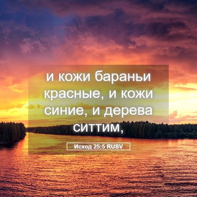 Picture 05 - Исход 25:5 RUSV - и кожи бараньи красные, и - Bible Verse Picture