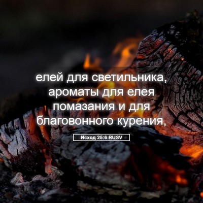Picture 05 - Исход 25:6 RUSV - елей для светильника, - Bible Verse Picture