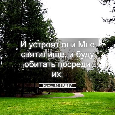 Picture 05 - Исход 25:8 RUSV - И устроят они Мне - Bible Verse Picture