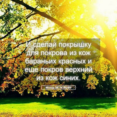 Picture 05 - Исход 26:14 RUSV - И сделай покрышку для - Bible Verse Picture