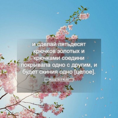 Picture 05 - Исход 26:6 RUSV - и сделай пятьдесят крючков - Bible Verse Picture