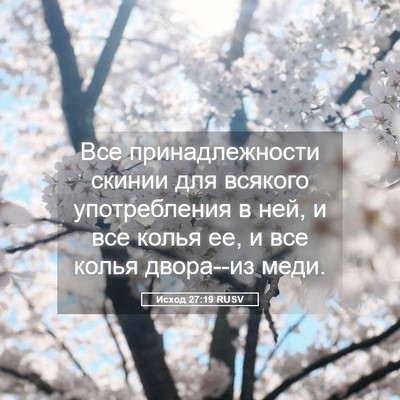 Picture 05 - Исход 27:19 RUSV - Все принадлежности скинии - Bible Verse Picture