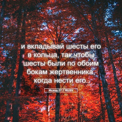 Picture 05 - Исход 27:7 RUSV - и вкладывай шесты его в - Bible Verse Picture