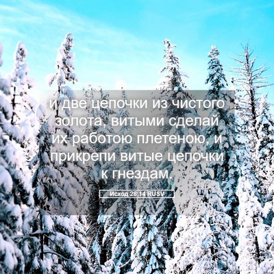 Picture 05 - Исход 28:14 RUSV - и две цепочки из чистого - Bible Verse Picture