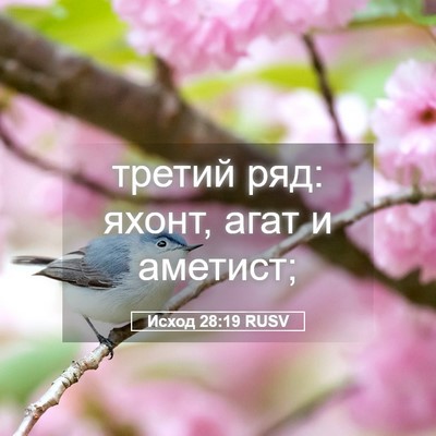 Picture 05 - Исход 28:19 RUSV - третий ряд: яхонт, агат и - Bible Verse Picture