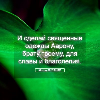 Picture 05 - Исход 28:2 RUSV - И сделай священные одежды - Bible Verse Picture