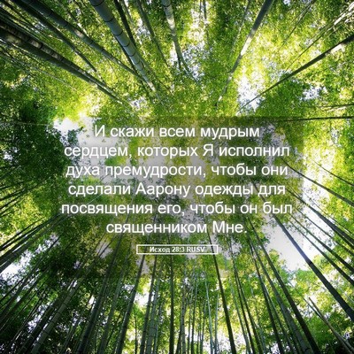 Picture 05 - Исход 28:3 RUSV - И скажи всем мудрым - Bible Verse Picture