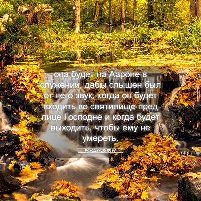 Picture 05 - Исход 28:35 RUSV - она будет на Аароне в - Bible Verse Picture