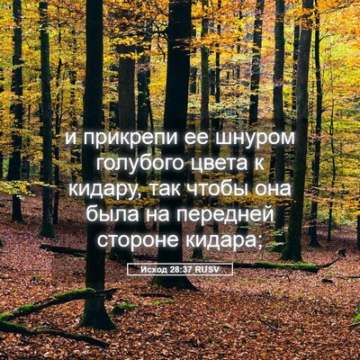 Picture 05 - Исход 28:37 RUSV - и прикрепи ее шнуром - Bible Verse Picture
