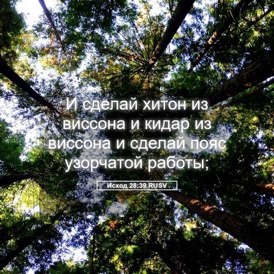 Picture 05 - Исход 28:39 RUSV - И сделай хитон из виссона и - Bible Verse Picture
