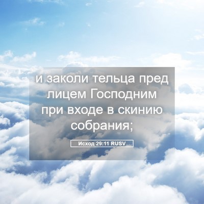 Picture 05 - Исход 29:11 RUSV - и заколи тельца пред лицем - Bible Verse Picture