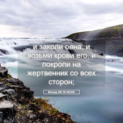 Picture 05 - Исход 29:16 RUSV - и заколи овна, и возьми - Bible Verse Picture