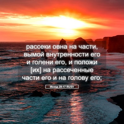 Picture 05 - Исход 29:17 RUSV - рассеки овна на части, - Bible Verse Picture