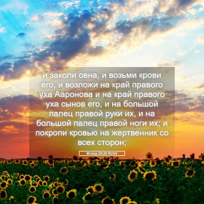 Picture 05 - Исход 29:20 RUSV - и заколи овна, и возьми - Bible Verse Picture