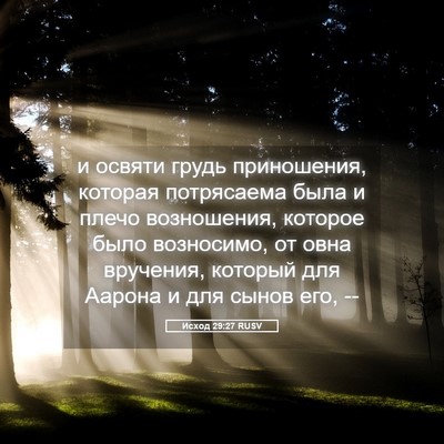 Picture 05 - Исход 29:27 RUSV - и освяти грудь приношения, - Bible Verse Picture