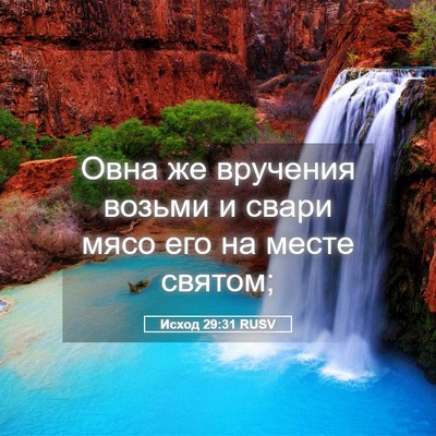Picture 05 - Исход 29:31 RUSV - Овна же вручения возьми и - Bible Verse Picture