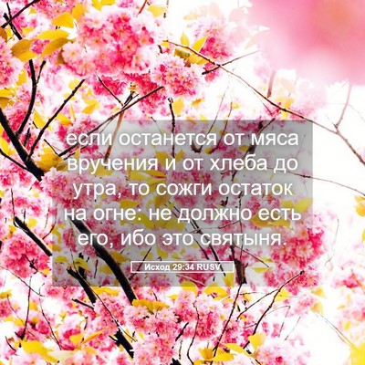 Picture 05 - Исход 29:34 RUSV - если останется от мяса - Bible Verse Picture