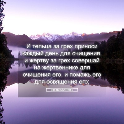 Picture 05 - Исход 29:36 RUSV - И тельца за грех приноси - Bible Verse Picture