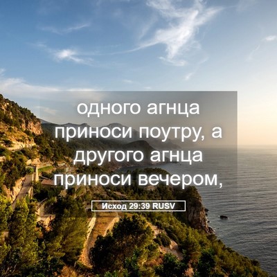 Picture 05 - Исход 29:39 RUSV - одного агнца приноси - Bible Verse Picture