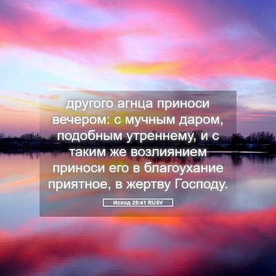 Picture 05 - Исход 29:41 RUSV - другого агнца приноси - Bible Verse Picture