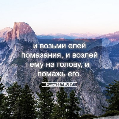 Picture 05 - Исход 29:7 RUSV - и возьми елей помазания, и - Bible Verse Picture