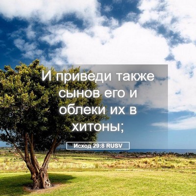 Picture 05 - Исход 29:8 RUSV - И приведи также сынов его и - Bible Verse Picture