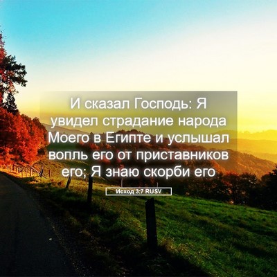 Picture 05 - Исход 3:7 RUSV - И сказал Господь: Я увидел - Bible Verse Picture
