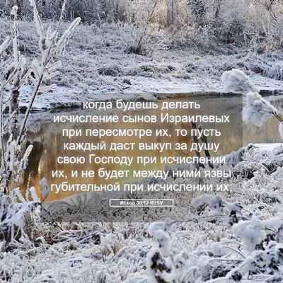 Picture 05 - Исход 30:12 RUSV - когда будешь делать - Bible Verse Picture