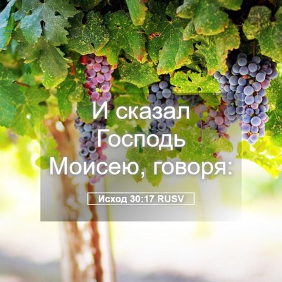 Picture 05 - Исход 30:17 RUSV - И сказал Господь Моисею, - Bible Verse Picture