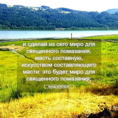 Picture 05 - Исход 30:25 RUSV - и сделай из сего миро для - Bible Verse Picture