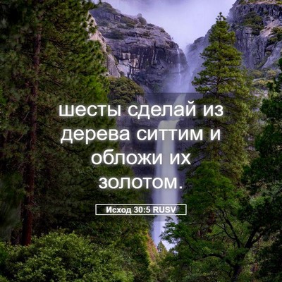 Picture 05 - Исход 30:5 RUSV - шесты сделай из дерева - Bible Verse Picture
