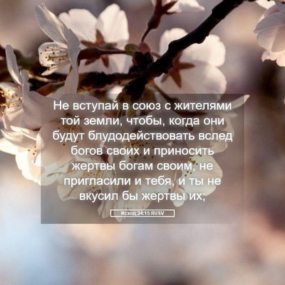 Picture 05 - Исход 34:15 RUSV - Не вступай в союз с - Bible Verse Picture