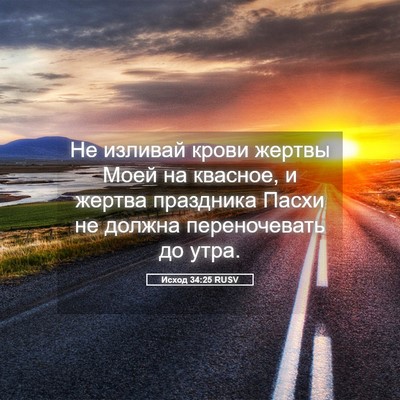 Picture 05 - Исход 34:25 RUSV - Не изливай крови жертвы - Bible Verse Picture