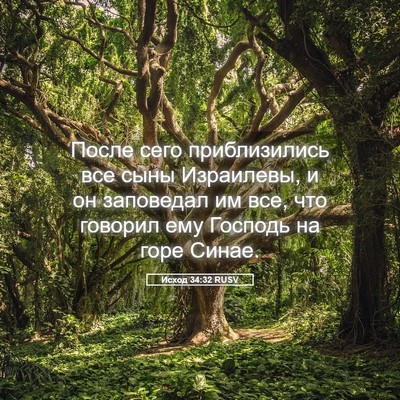 Picture 05 - Исход 34:32 RUSV - После сего приблизились - Bible Verse Picture