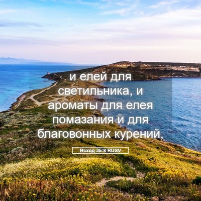 Picture 05 - Исход 35:8 RUSV - и елей для светильника, и - Bible Verse Picture